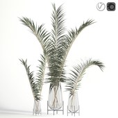 Dry palm leaves in Echasse vases