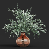 Vase eucalyptus cinerea