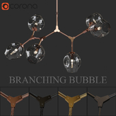 branching bubble