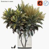 Branches in vases 25