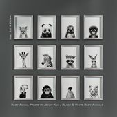 Baby Animal Prints by Jenny Kun / Black & White Baby Animals. Size: 320х250mm.