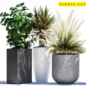 plants 254