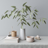 decorative set with eucalyptus branch