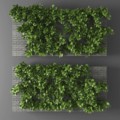 Vertical garden 010