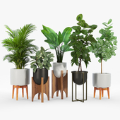 Arches standing planters