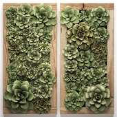 Vertical gardening home garden in a wall pot frame made of succulents, Echeveria, painting. Set 53