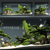 Aquarium Snail King