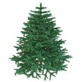 Елка | Christmas tree