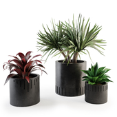 Set of plants w01