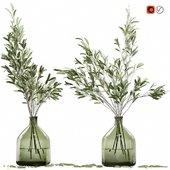 Olive stems in glass vase with water