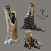Tree Trunks