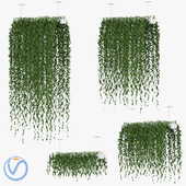 Hanging plants v1  (Vray)