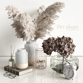 Decorative set with dry plants 4