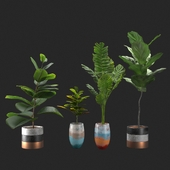 Plant and vase vol.01