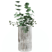Eucalyptus branches in a vase