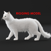 White cat (rig)