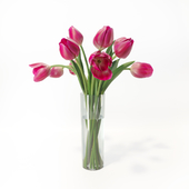 bouquet of tulips букет тюльпанов