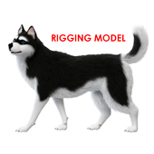 Dog (rig)