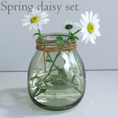 Daisies in a vase with water