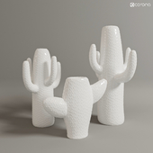 Set vase cactus