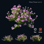 Plant Flower set 01