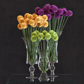 Flower Arrangement: Allium Set1