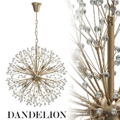 Dandelion