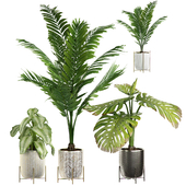 INTERIOR FLOWER PLANT PACK 4