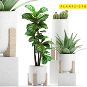 plants 270