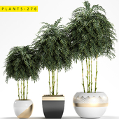 plants 276