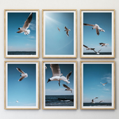 Seagulls Poster