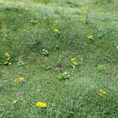 Трава с цветами