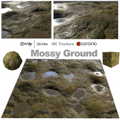 mossy ground