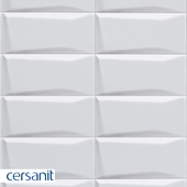 Плитка Cersanit Evolution белый рельеф 20x44 EVG052