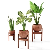 set vases-No2- wicker Vase by 3 plant