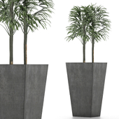 Single Plant 08