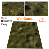 Wet grass