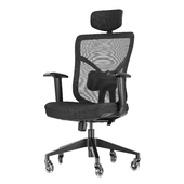 The Office Oasis Ergonomic Mesh Office Chair