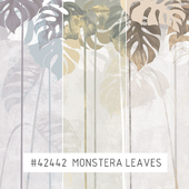 Creativille | Wallpapers | 42442 Monstera Leaves