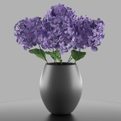 A bouquet of hydrangeas in a vase