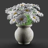 Bouquet of daisies in a vase