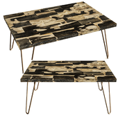 Fossil wood 252 coffee table