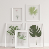 IKEA Frames Set With Plants