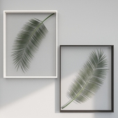My Botanica Frames Set WIth Plants
