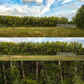 Poplar panoramas