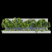 Филодендрон селло + Эпипремнум ауреум (Philodendron selloum + Epipremnum aureum)