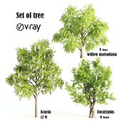 set of tree 015