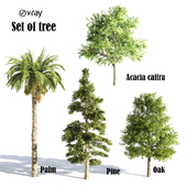 set of tree 16 vray