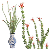 Ocotillo Spring &Vase