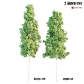 2 aspen tree -corona